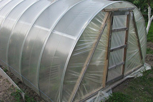 Сотовый поликарбонат для теплиц