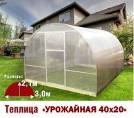 Теплица Урожайная-40х20 3х4х2,1м комплектация Эконом - интернет-магазин «Формика» 