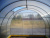 Teplica_ocinkovannaya_Novaya_Cink_dugi_cherez_0,65_2