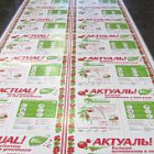 Сотовый поликарбонат 4 мм прозрачный Actual Bio 2,1х6 м (12,6 кв.м) 0,6