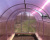 verhnyaya_fortochka_v_teplicu_Optima_1 verhnyaya_fortochka_v_teplicu_Optima_1