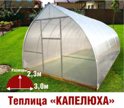 теплицы капелюха