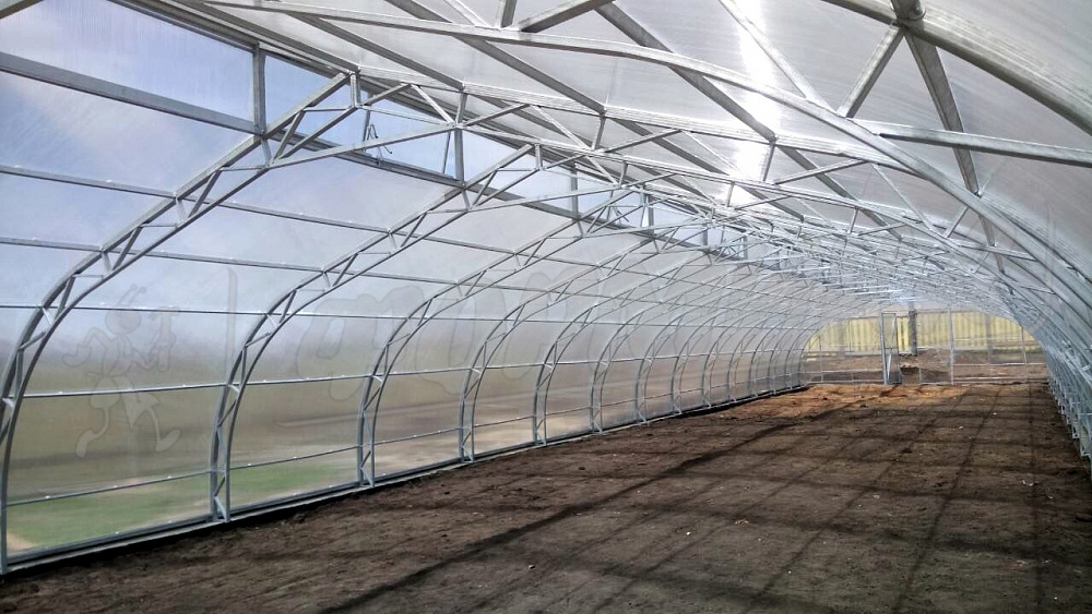 Теплица по Митлайдеру