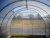Teplica_ocinkovannaya_Novaya_Cink_dugi_cherez_0,65_2