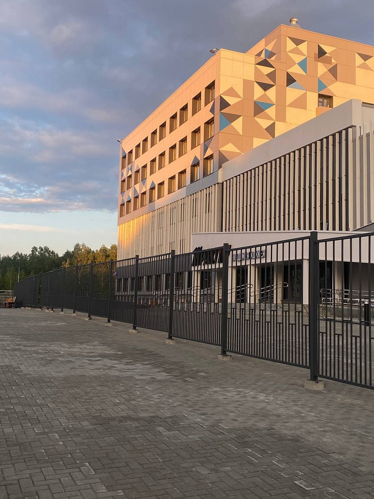 Сварное ограждение для академии хоккея "Трактор"