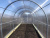 Karkas_teplicy_Alekseevna_Cink Karkas_teplicy_Alekseevna_Cink