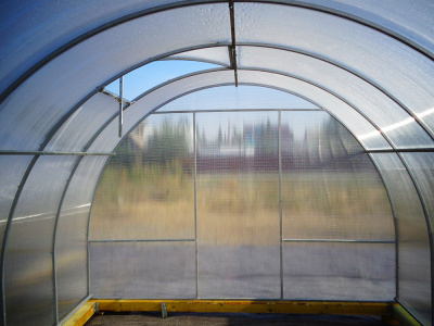 Teplica_ocinkovannaya_Novaya_Cink_dugi_cherez_0,65_2